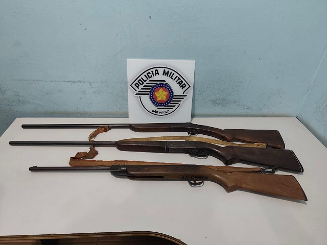 Armas apreendidas