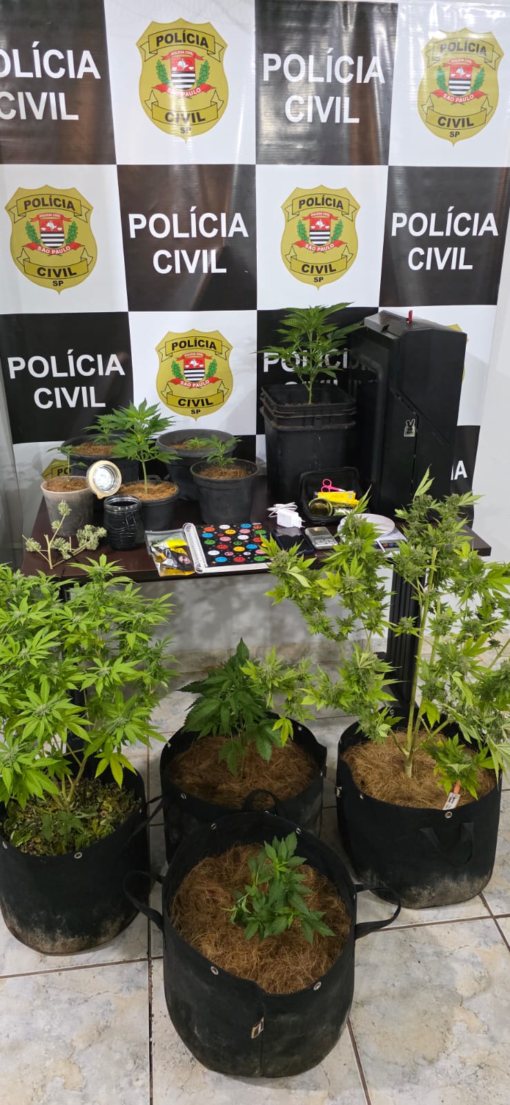 Foto: Divulgação/Polícia Civil 