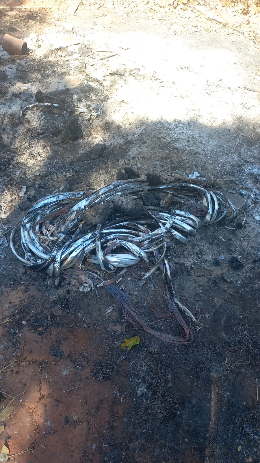 Foto: Flavio Fernandes/Araraquara Agora/Fios Queimados No Terreno Baldio