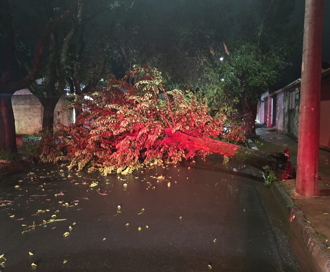 Rua Maurício Galli