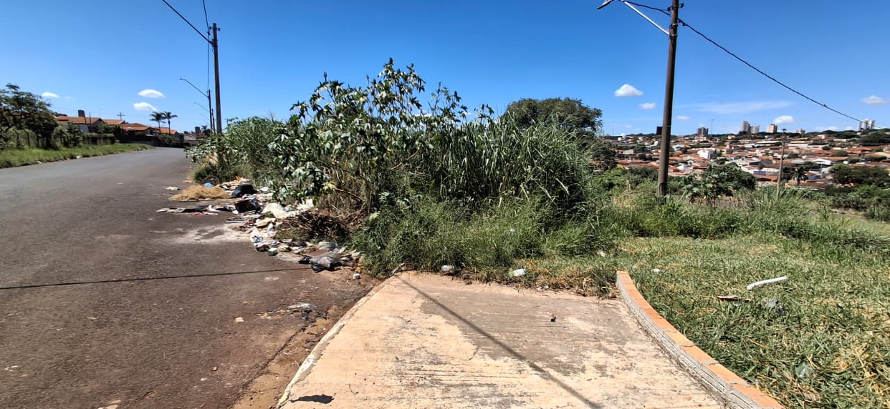Mato alto toma conta da via e dificulta o acesso na Rua Carlos Gentil, no Parque Igaçaba, em Araraquara    