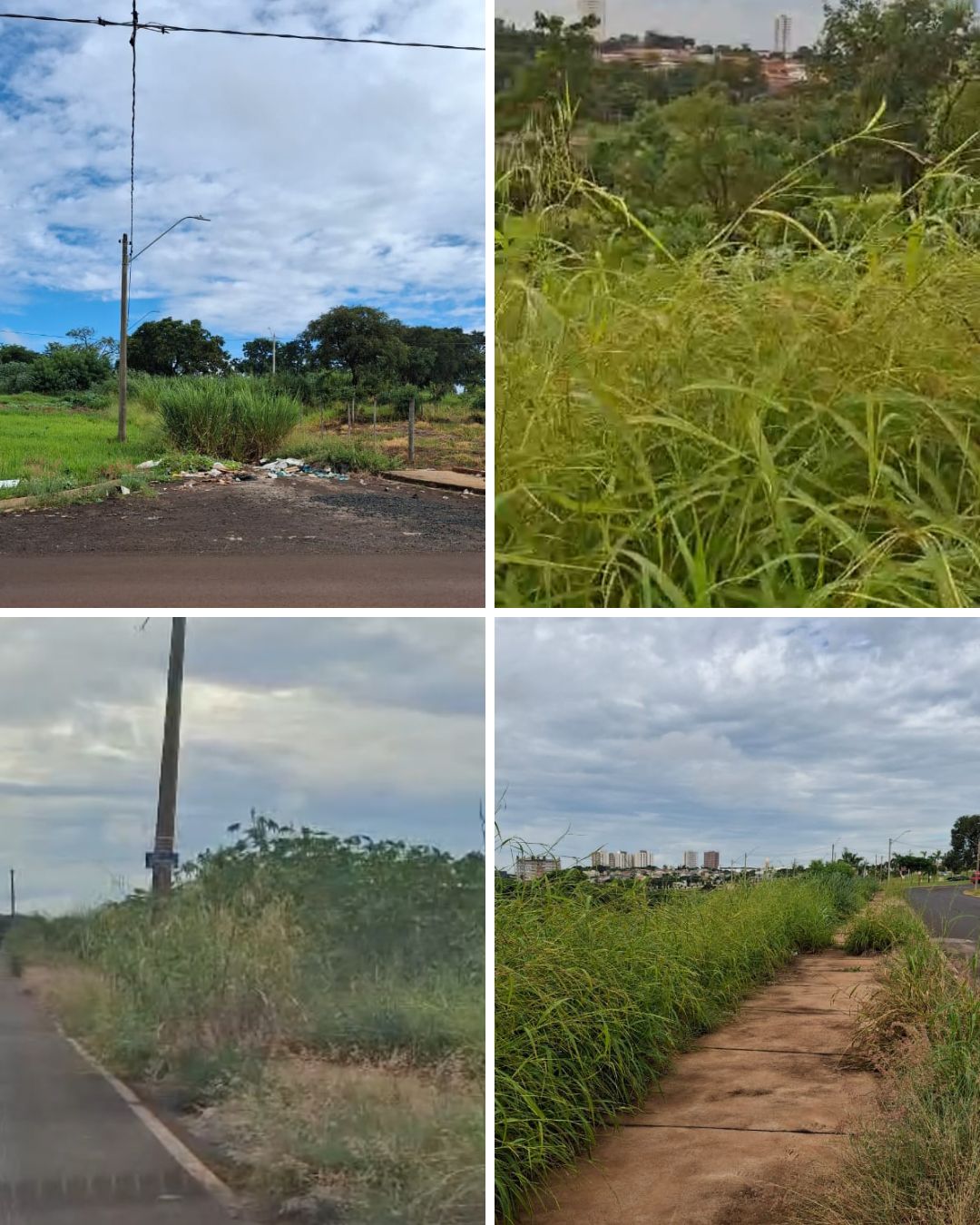 Situação da Avenida Fernando Bazolli  