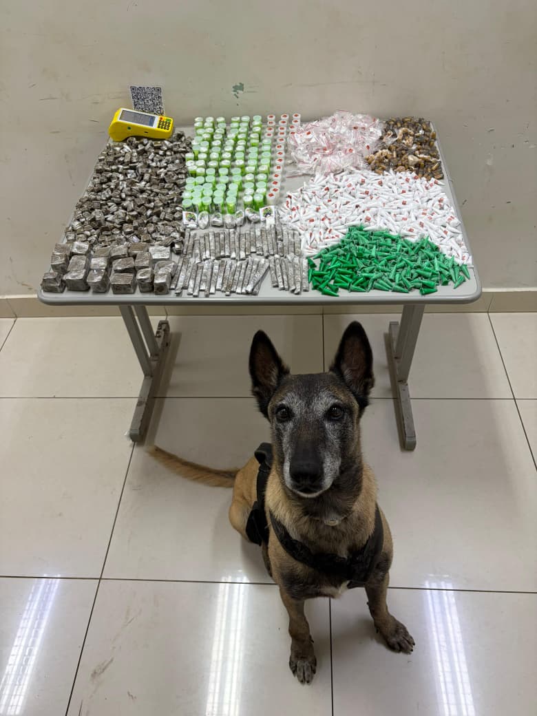 Foto: Divulgação/BAEP