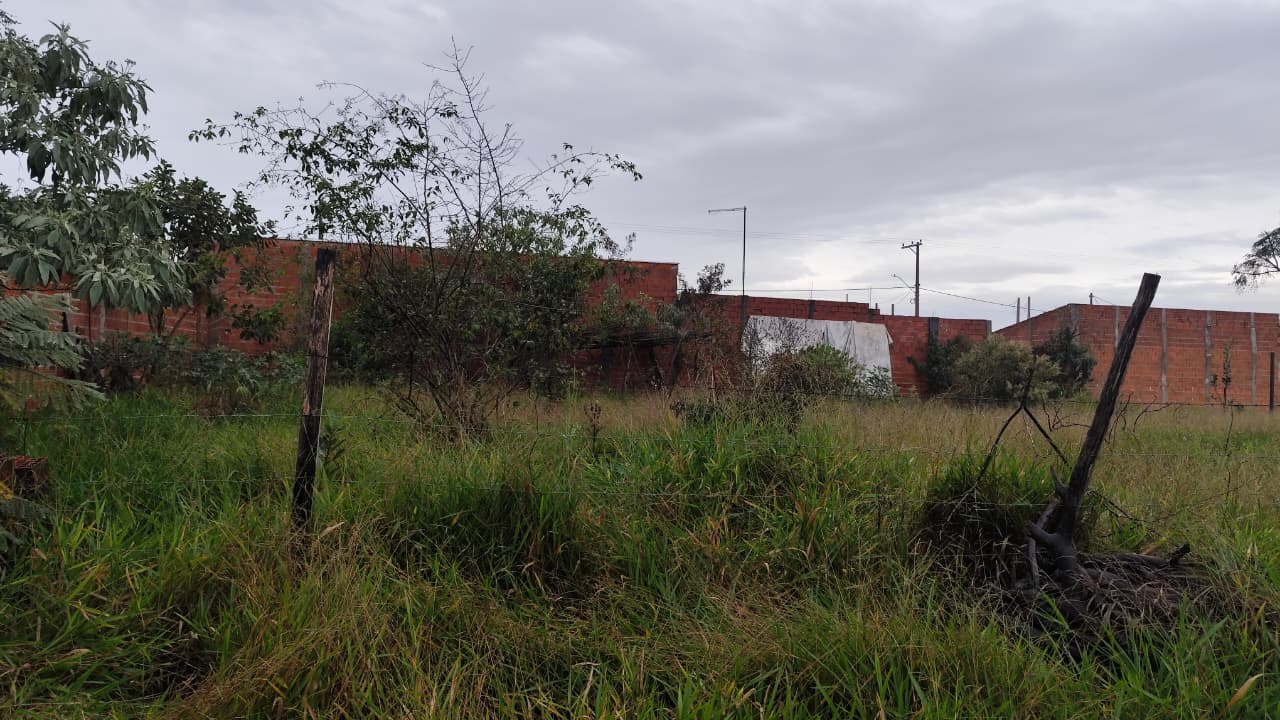 Foto: Maycon Maximino/São Carlos Agora