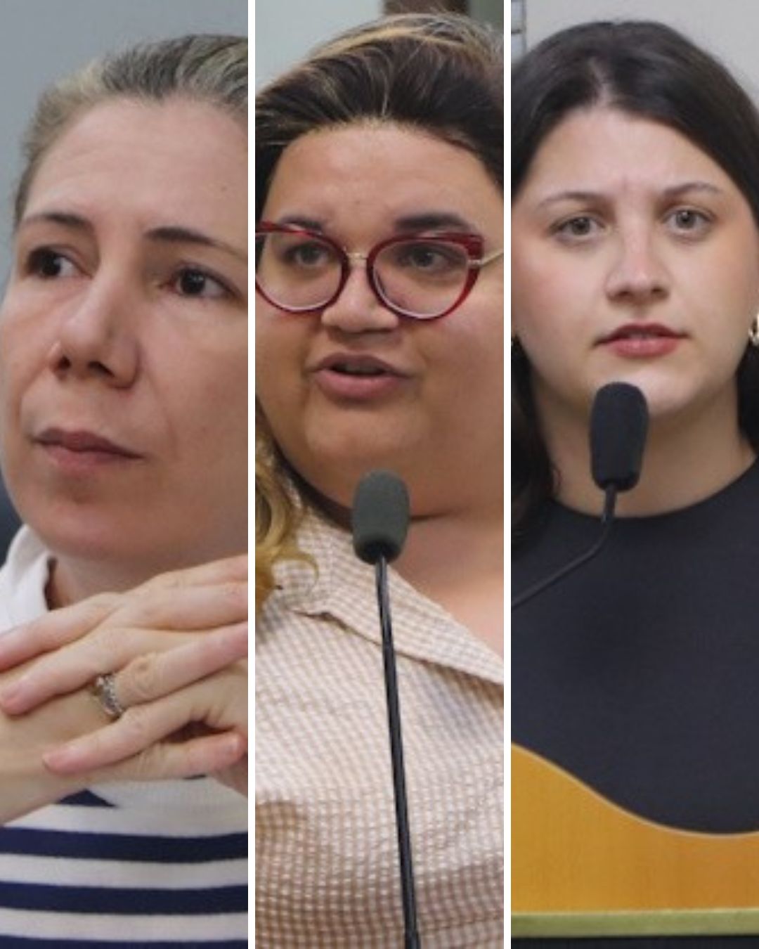 Durante a sessão, parlamentares destacaram proposta durante sessão desta terça-feira (21)