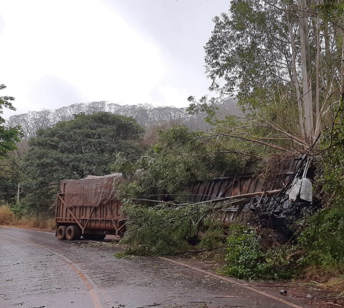 Motorista morre após bater caminhão em árvore na vicinal Pedro Pano; veículo pegou fogo