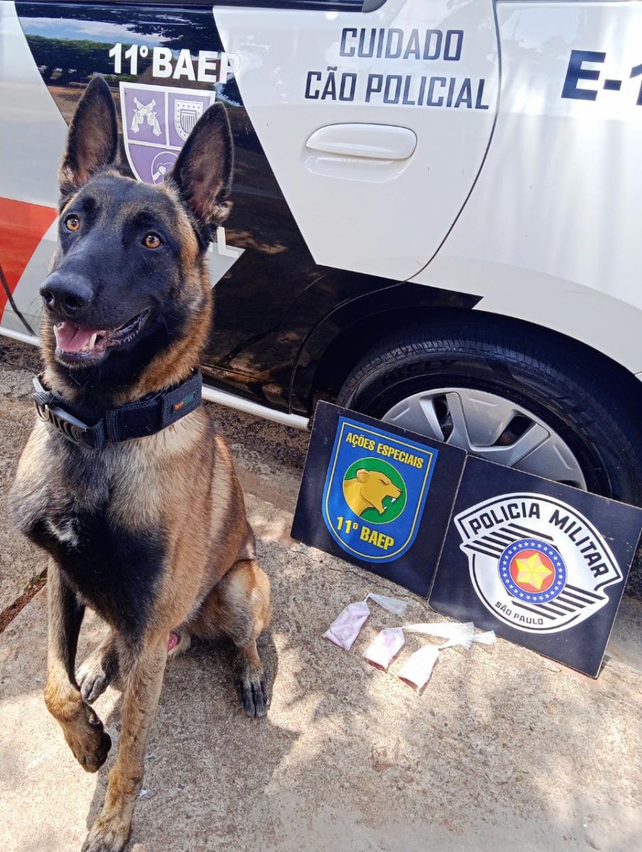 Ação contou com o apoio do cão Bruck