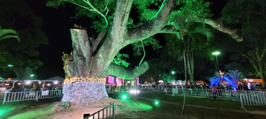 Foto 26 de 49 — ​Primeira noite do Esperança Luz encanta multidão em Boa Esperança