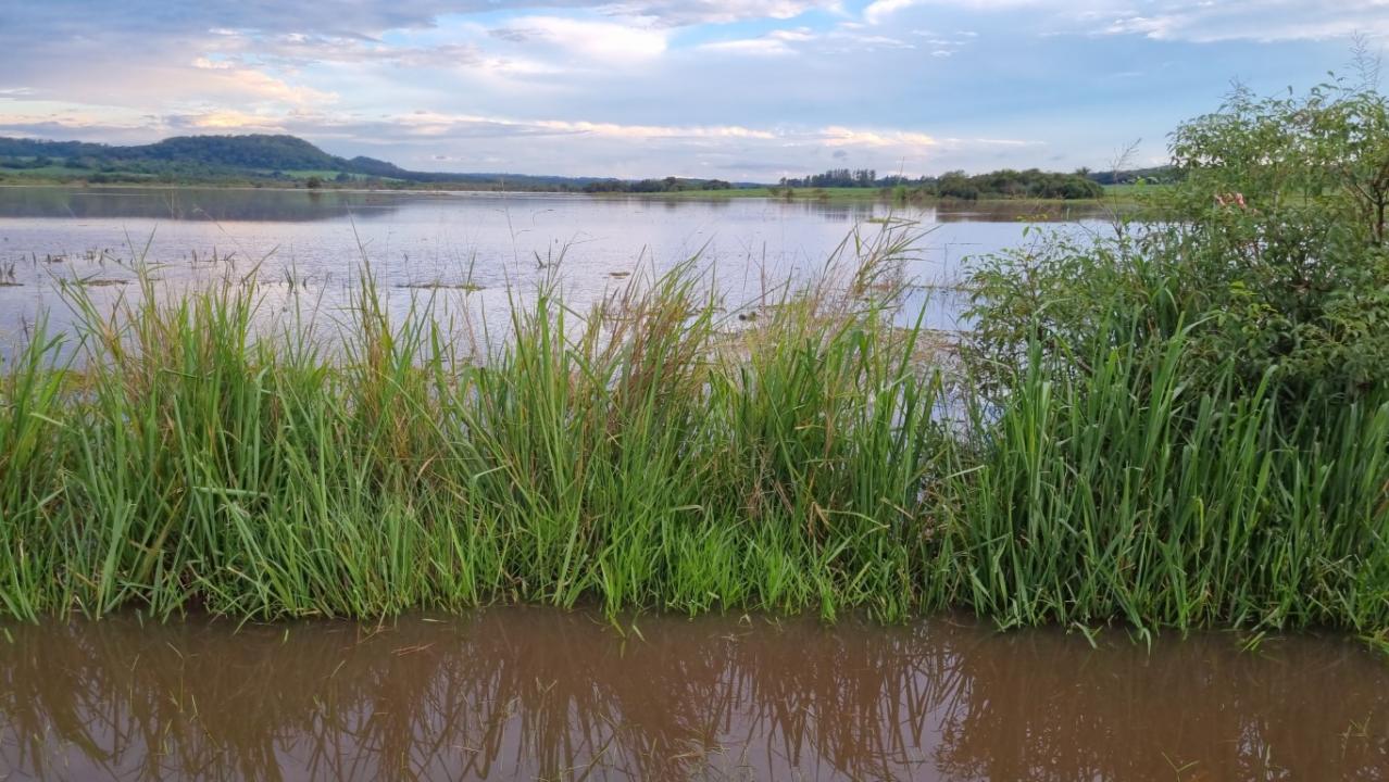 Foto 3 de 22 — SP-255 entre Araraquara e Boa Esperança segue interditada