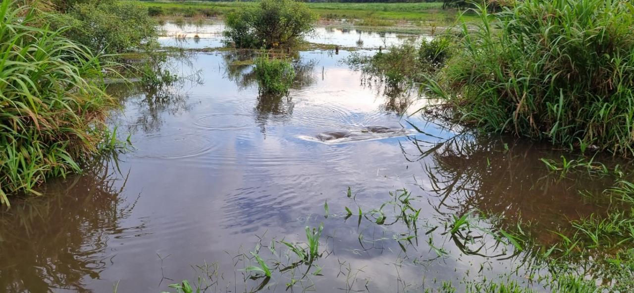 Foto 20 de 22 — SP-255 entre Araraquara e Boa Esperança segue interditada