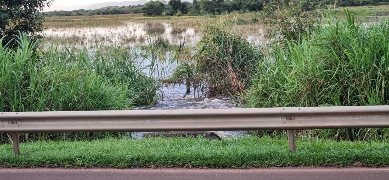 Foto 22 de 22 — SP-255 entre Araraquara e Boa Esperança segue interditada