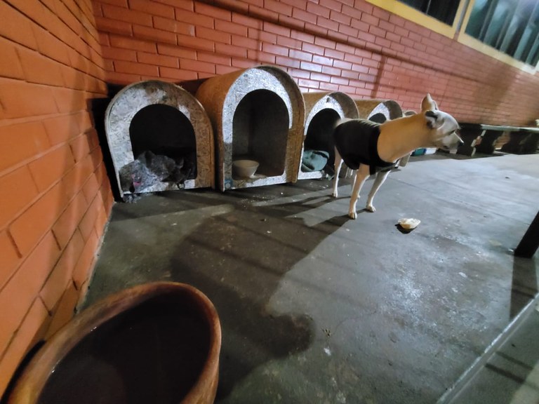 Foto 2 de 2 — Ações buscam acolher pessoas em situação de rua durante baixas temperaturas em Araraquara