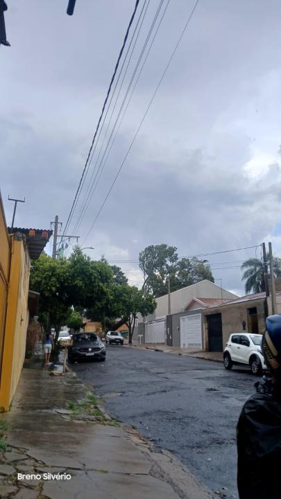 Foto 2 de 3 — Árvore gigante cai em cima de igreja no Jardim Santa Lúcia em Araraquara