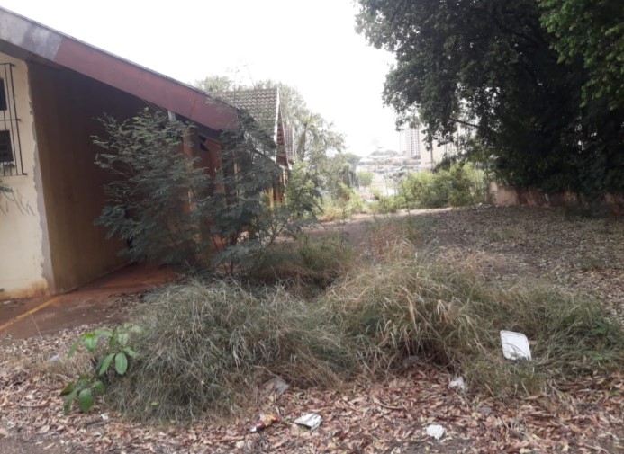 Foto 7 de 11 — Vereador cobra medidas sobre abandono do prédio do antigo Tropical Shopping