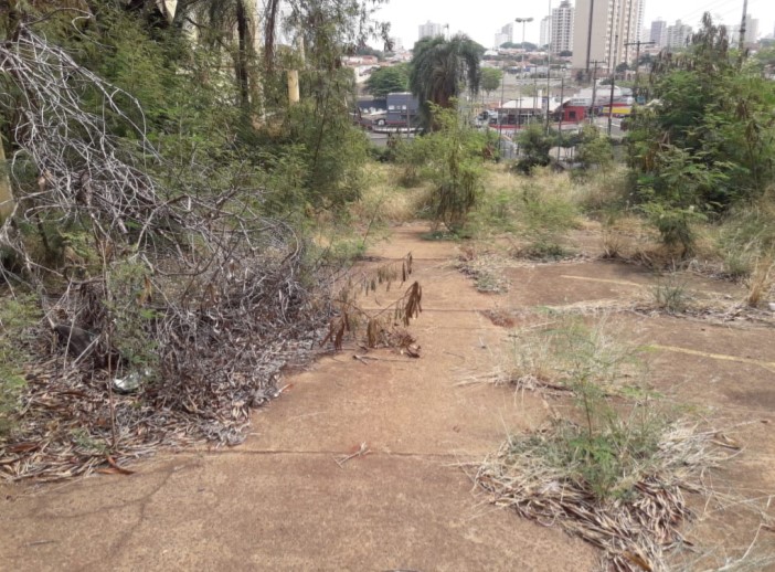 Foto 4 de 11 — Vereador cobra medidas sobre abandono do prédio do antigo Tropical Shopping