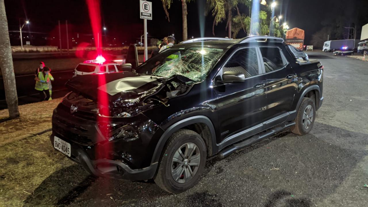 Foto 11 de 11 — Homem morre atropelado na Rodovia Washington Luís em Araraquara