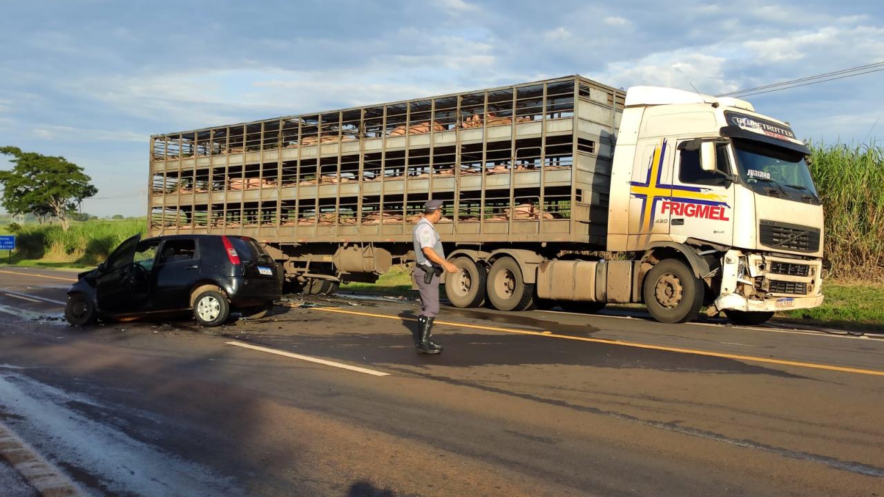 Foto 6 de 14 — Mulher fica ferida ao bater carro em caminhão carregado com porcos