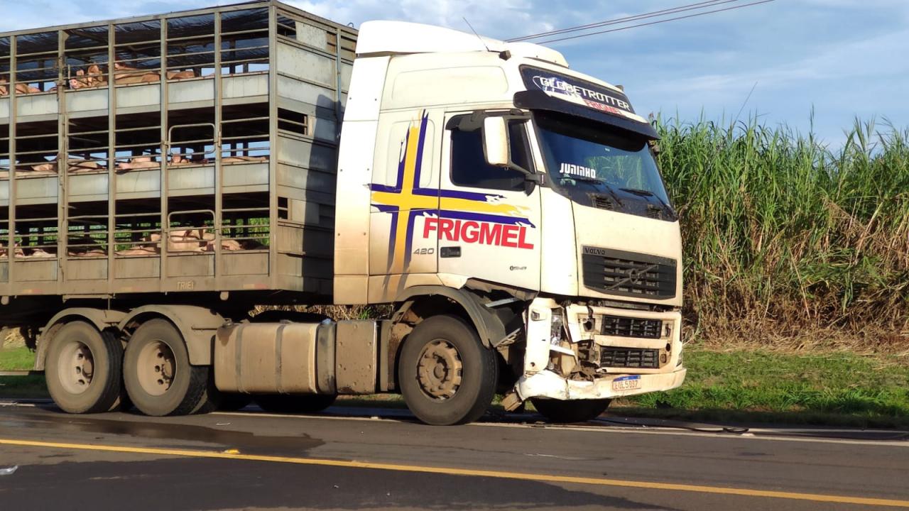Foto 5 de 14 — Mulher fica ferida ao bater carro em caminhão carregado com porcos