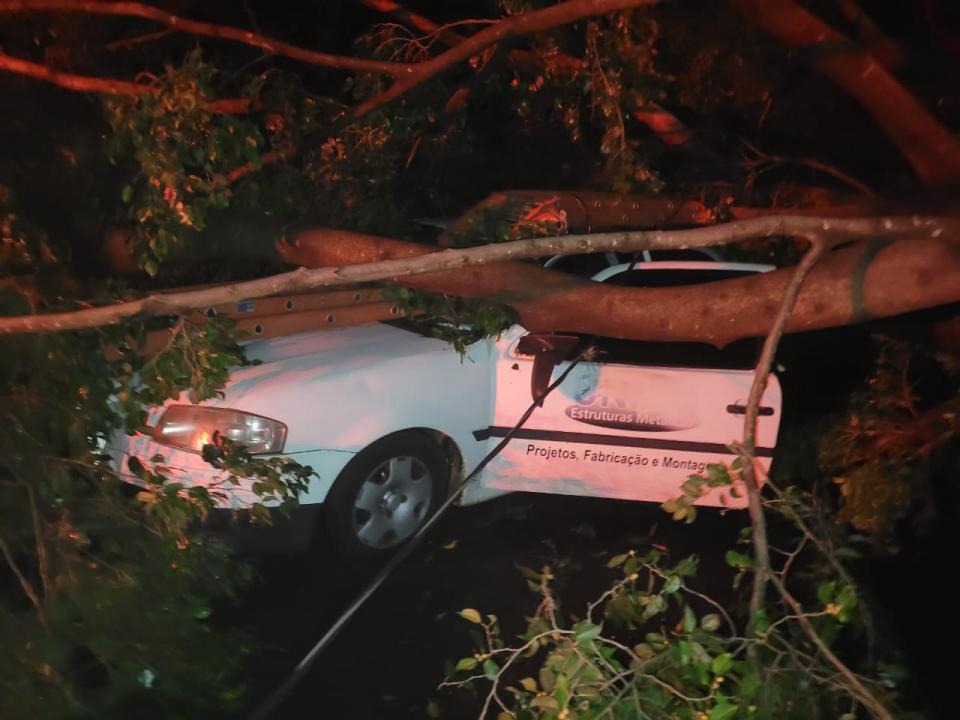 Foto 3 de 11 — Chuva causa mais estragos e árvores atingem veículos em Araraquara
