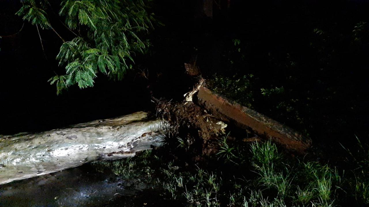 Foto 4 de 11 — Chuva causa mais estragos e árvores atingem veículos em Araraquara