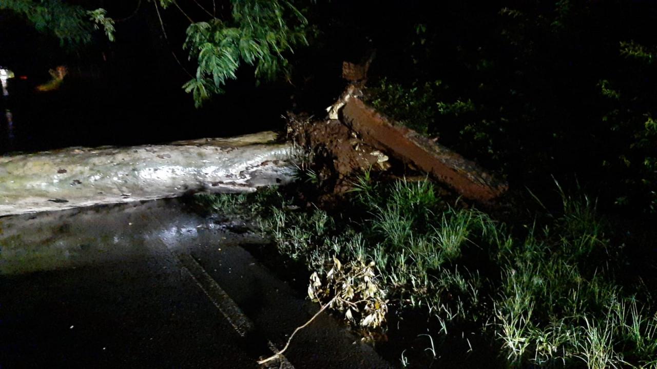 Foto 9 de 11 — Chuva causa mais estragos e árvores atingem veículos em Araraquara