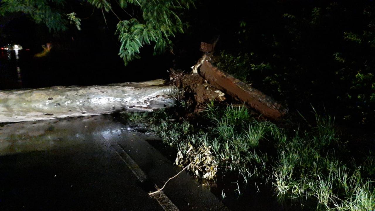 Foto 8 de 11 — Chuva causa mais estragos e árvores atingem veículos em Araraquara