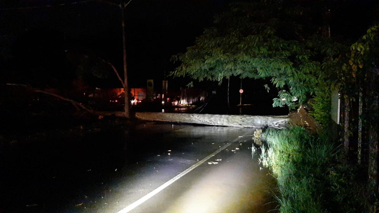 Foto 7 de 11 — Chuva causa mais estragos e árvores atingem veículos em Araraquara