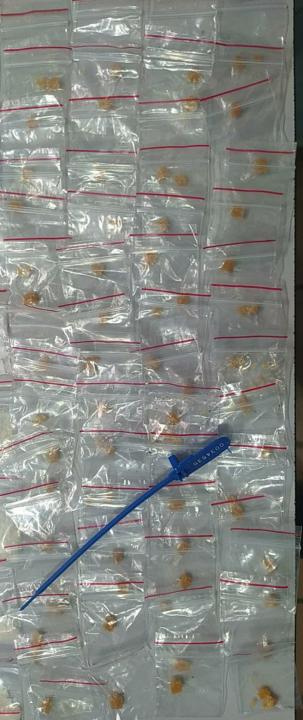 Foto 3 de 4 — Cocaína, maconha, crack e dinheiro: jovem é preso por tráfico de drogas