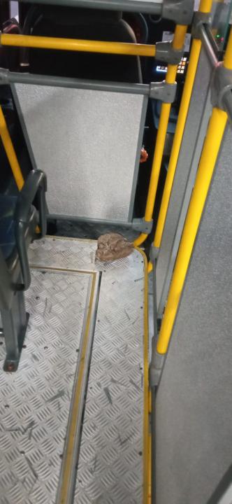 Foto 5 de 5 — Homem é detido pela GCM após apedrejar ônibus no centro de Araraquara
