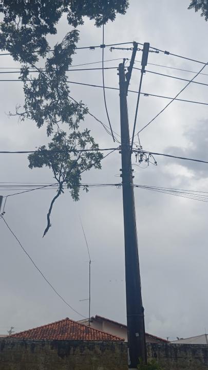 Foto 31 de 40 — Veja fotos do cenário em Boa Esperança do Sul após forte temporal