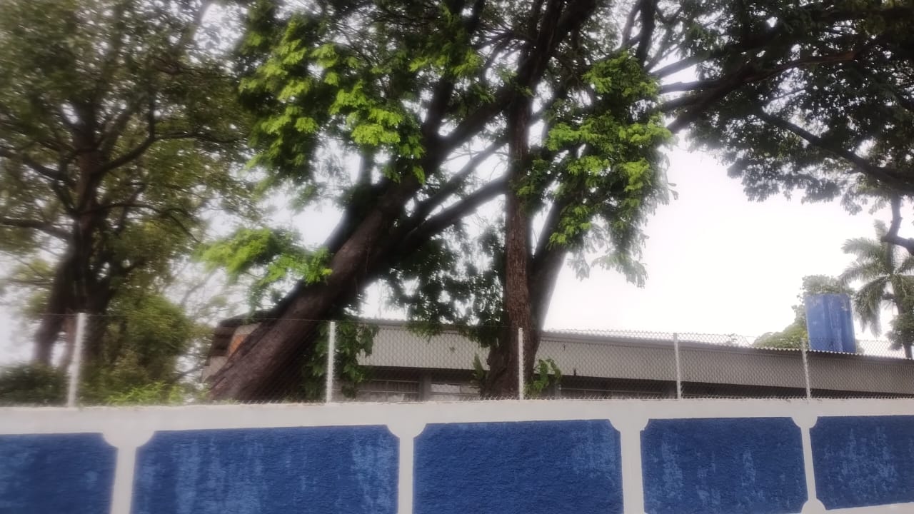 Foto 26 de 40 — Veja fotos do cenário em Boa Esperança do Sul após forte temporal