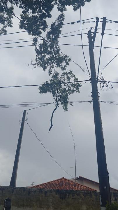 Foto 16 de 40 — Veja fotos do cenário em Boa Esperança do Sul após forte temporal