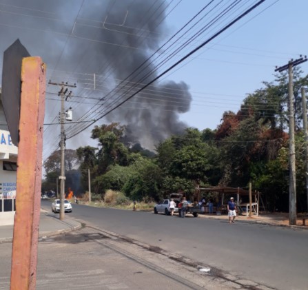 Foto 2 de 4 — Incêndio destrói mata no Jardim Victório de Santi