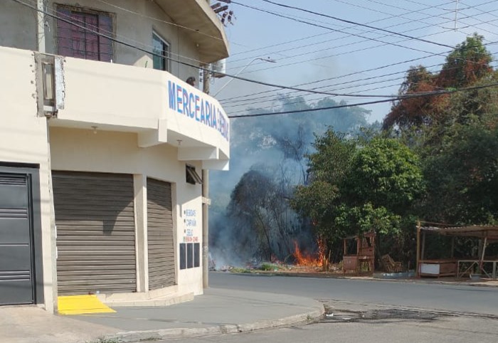 Foto 4 de 4 — Incêndio destrói mata no Jardim Victório de Santi