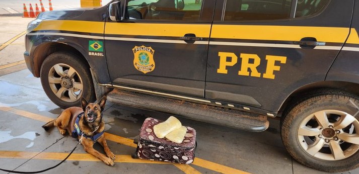 Foto 1 de 1 — Mulher que trazia maconha para Araraquara é presa em Cuiabá
