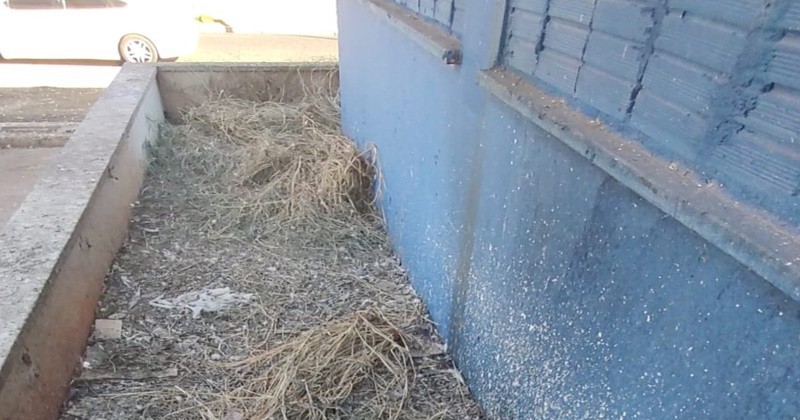 Foto 2 de 5 — Posto de combustíveis desativado tem lixo, entulho e mato alto na Vila Xavier