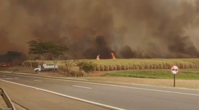 Veja vídeo de incêndios que atingem a região; várias cidades estão cobertas de fumaça e poeira