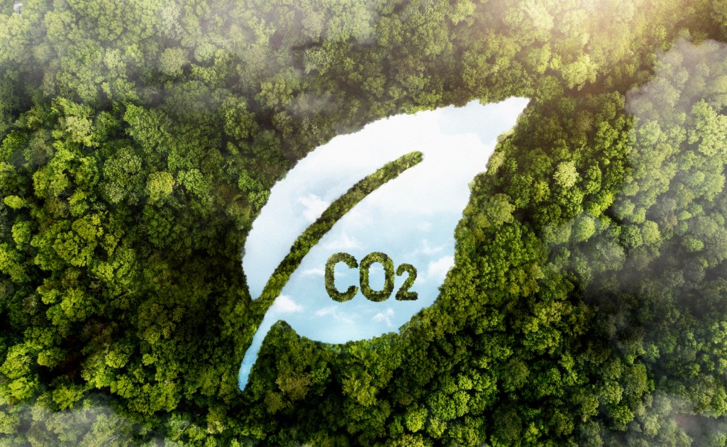 Operação 'Carbono Oculto' derruba esquema bilionário e reforça urgência de fiscalização financeira