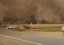 Veja vídeo de incêndios que atingem a região; várias cidades estão cobertas de fumaça e poeira 